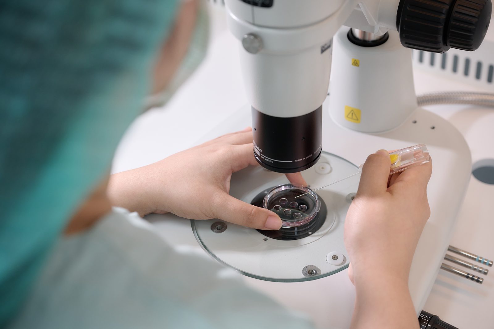 An embryologist assessing embryos under the microscope during blastocyst culture
